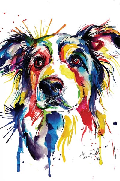 24 by 36 Border Collie original acrylic painting on stretched canvas